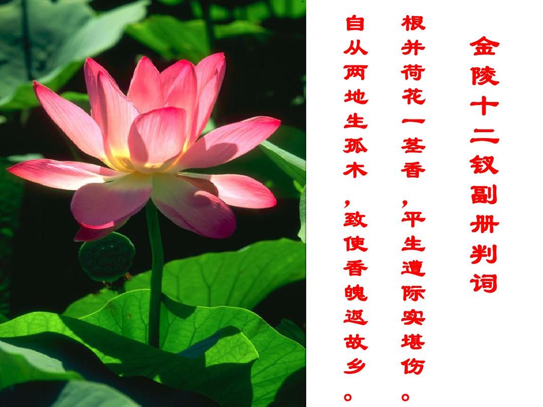 香菱结局_香菱_香菱学诗