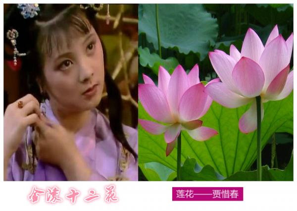 香菱学诗_香菱_香菱结局