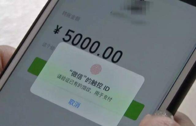狐狸钱包转ronin钱包_小狐狸钱包转账到交易所怎么转_往小狐狸钱包转usdt