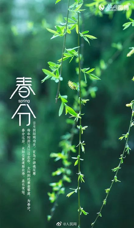 节气今天是什么节气_今天啥子节气_今天是什么节气