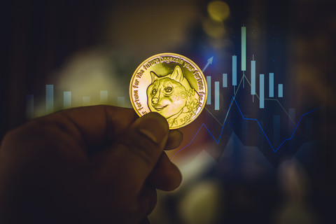 狗狗币钱包怎么取出狗狗币_狗狗币钱包dogecoin_狗狗币怎么存入tp钱包