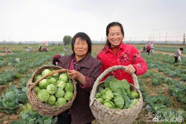 养成种菜手机游戏大全_种菜养成手机游戏_种菜的养成游戏