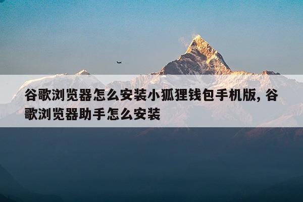 小狐狸钱包浏览器_小狐狸钱包用什么浏览器_狐狸钱包插件