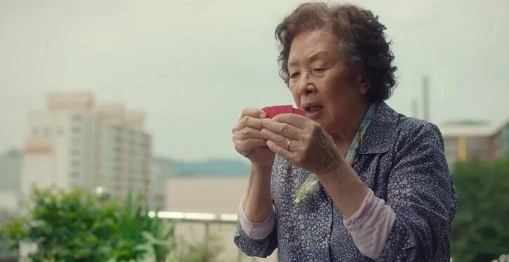 电影文姬归汉亮相北影节_文姬电视剧叫什么名字_哦文姬电影