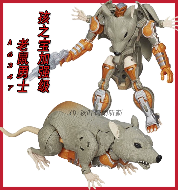 贝尔卡战争-猫咪追逐玩具老鼠，小橙最喜欢的游戏