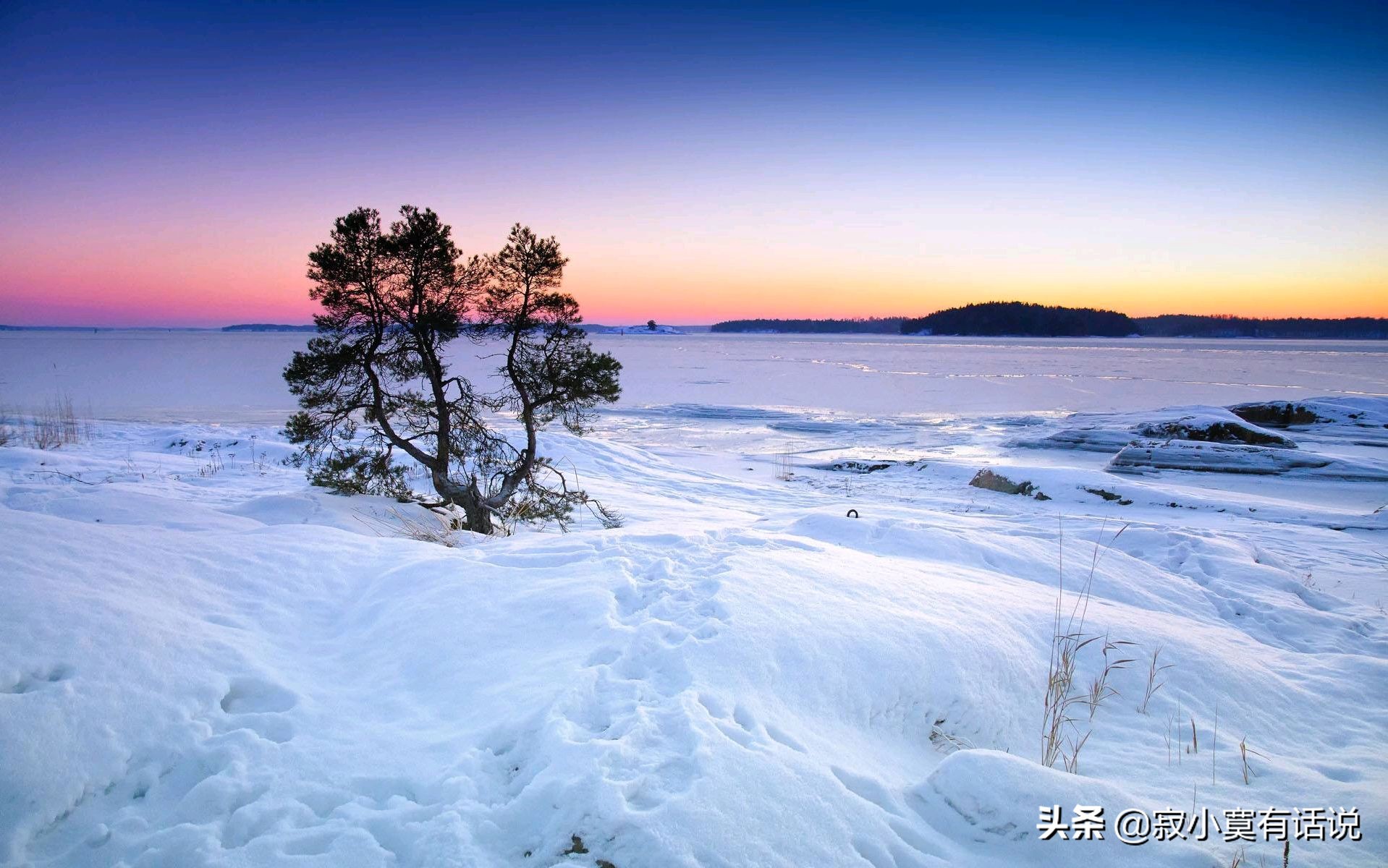获取当前月份-时间的流逝：无法抗拒的存在