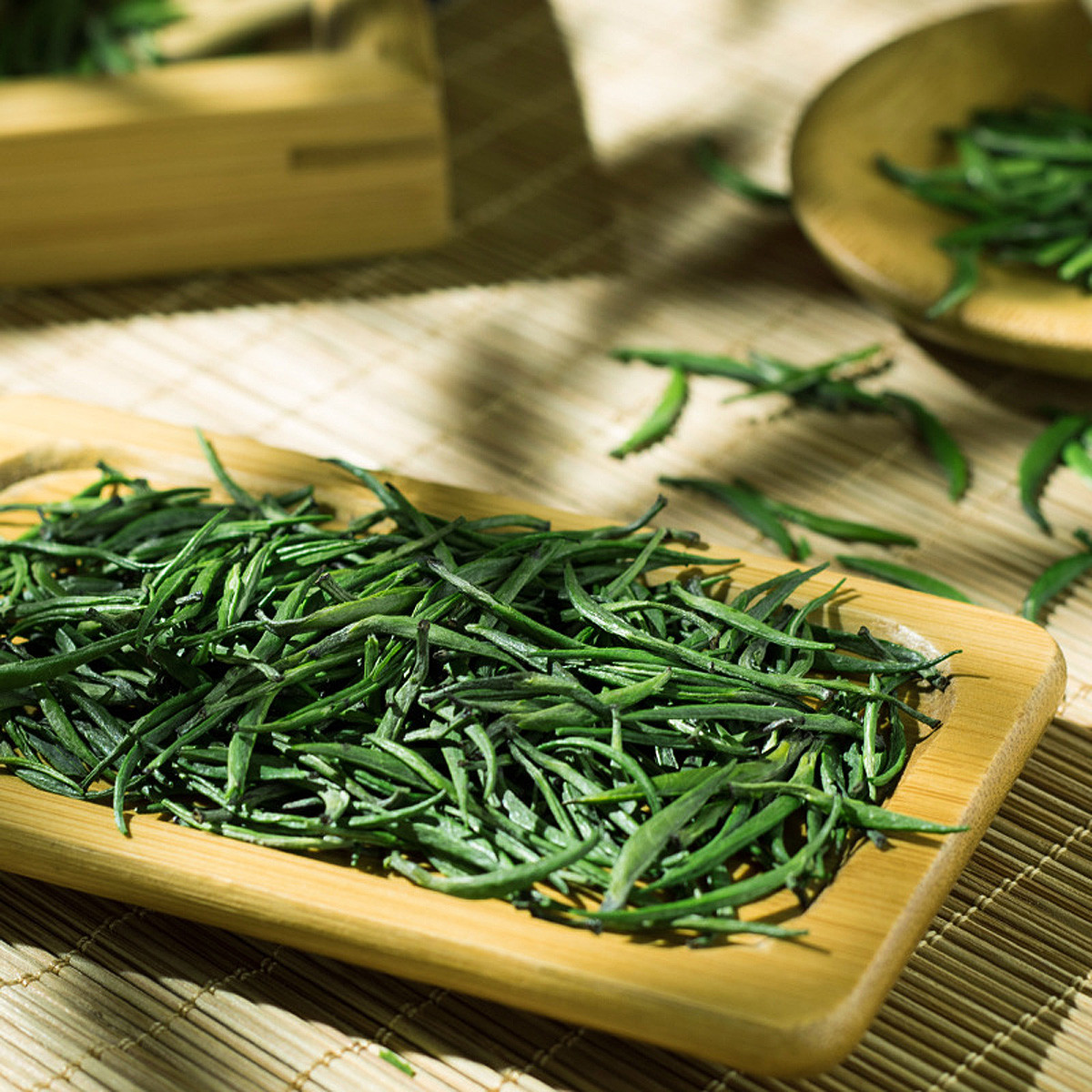 浅井茶茶_浅井茶茶_浅井茶茶