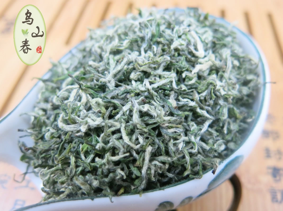 浅井茶茶_浅井茶茶_浅井茶茶