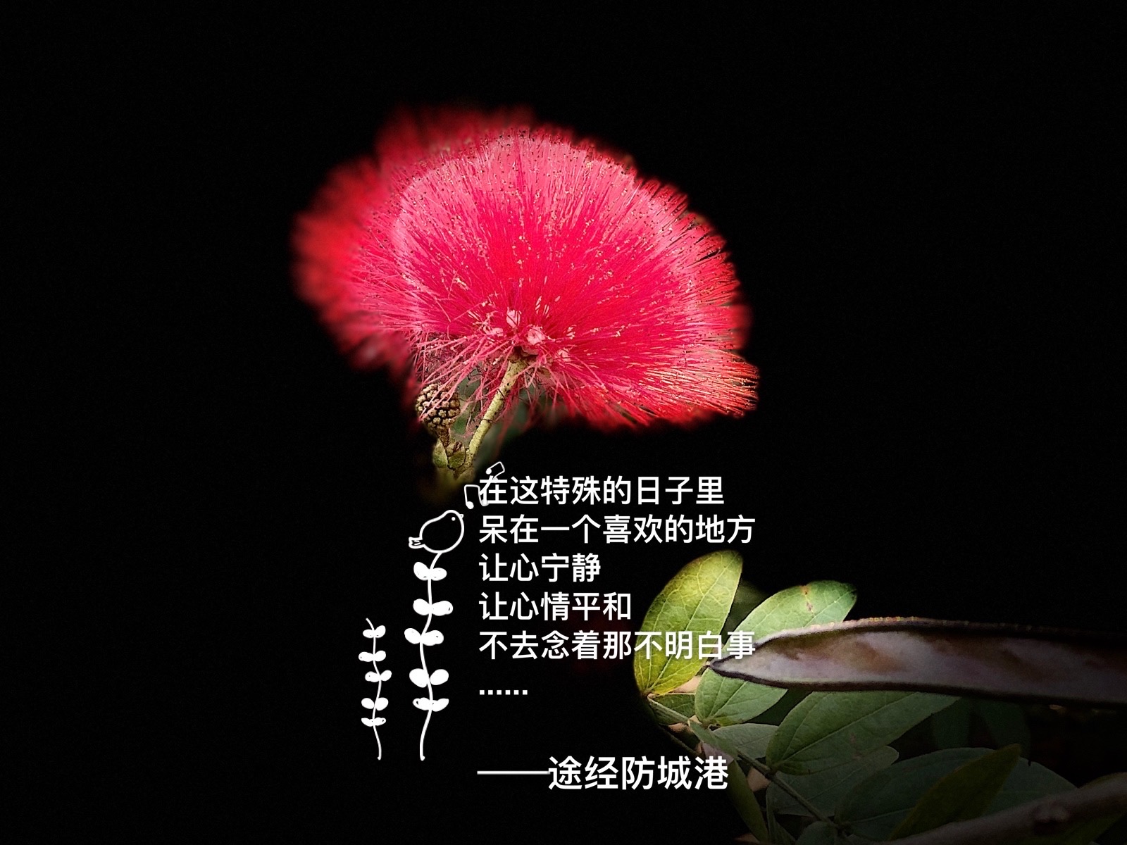 2024年是不是闰月年_外国日期怎么看日月年_2014年9月9日