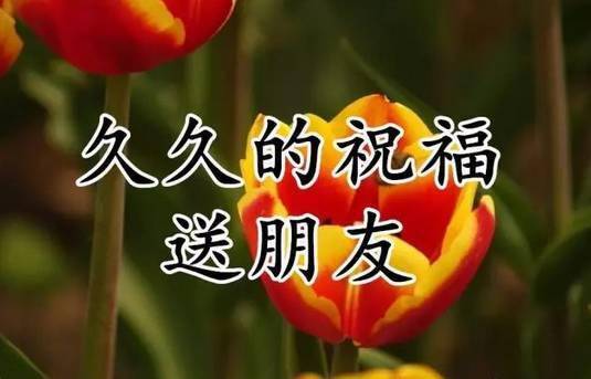 九月初初九是什么_初九九月初九_九月初九