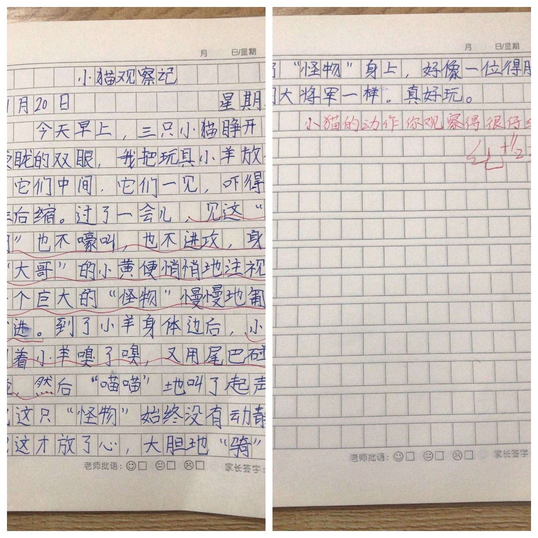 未来日记redial_未来日记redial资源_日记未来的汽车