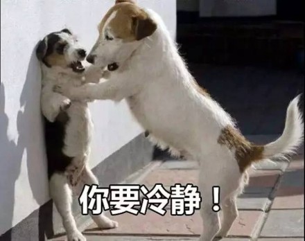 消除所有动物_手机游戏消除小动物的声音_动物消除红包版
