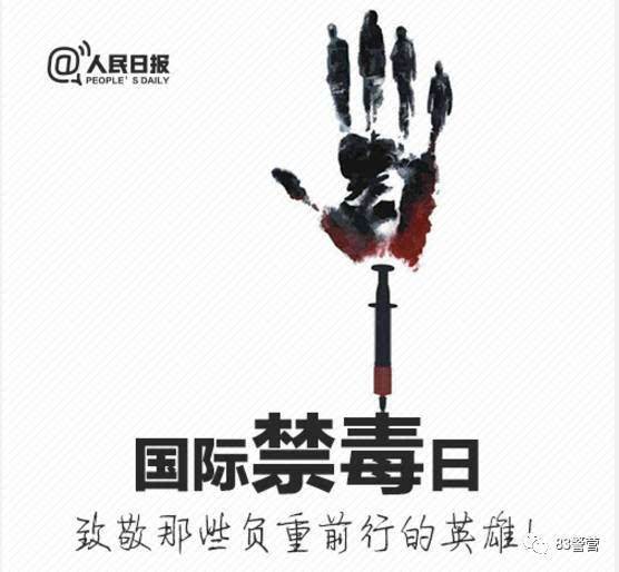 禁毒国际三大公约_禁毒国际合作按照什么原则进行_国际禁毒日