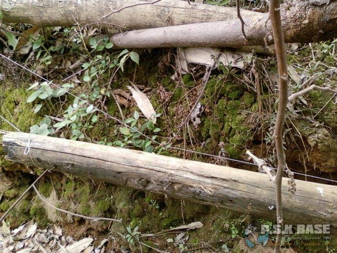 孤岛生存类单机游戏_孤岛生存游戏手机版_手机游戏单机孤岛生存视频