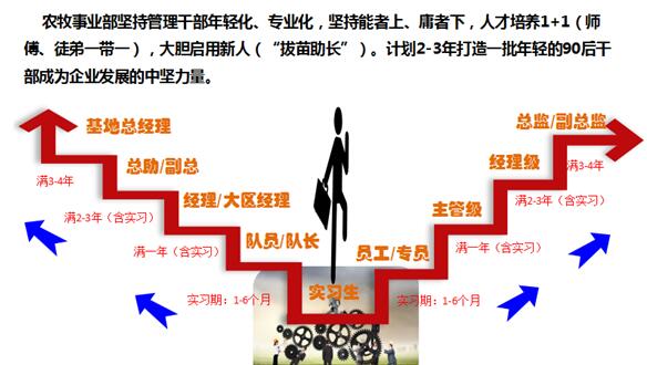 设置进行管理_设置管理组织来源于什么_某些设置由你的组织来管理