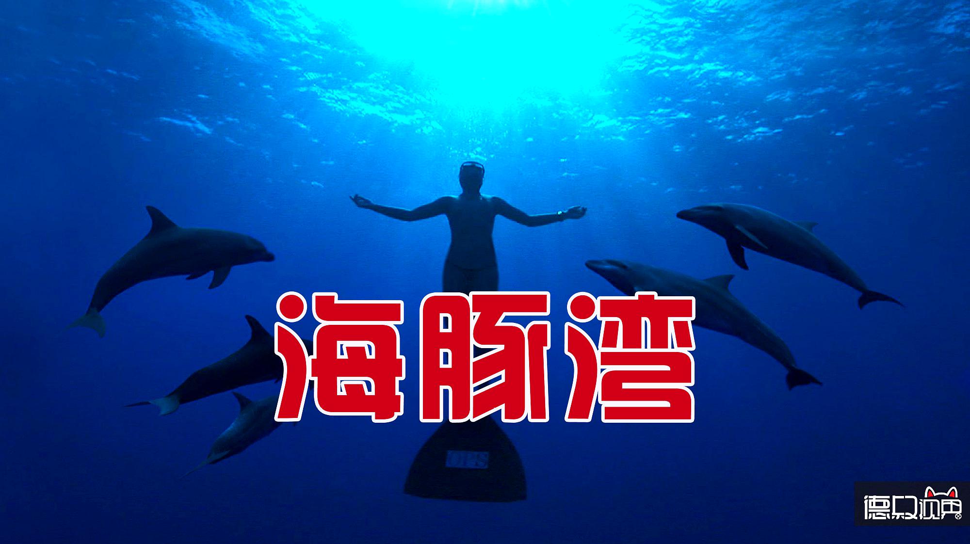 海豚湾电影-海豚湾奇遇：与海豚亲密接触，唤醒保护意识