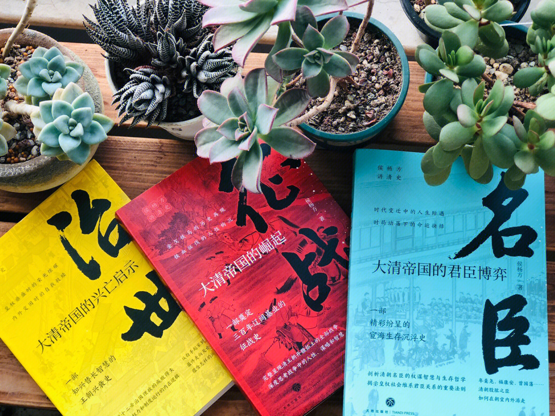 保皇小游戏_手机游戏 保皇_手机游戏保皇那款是真人版