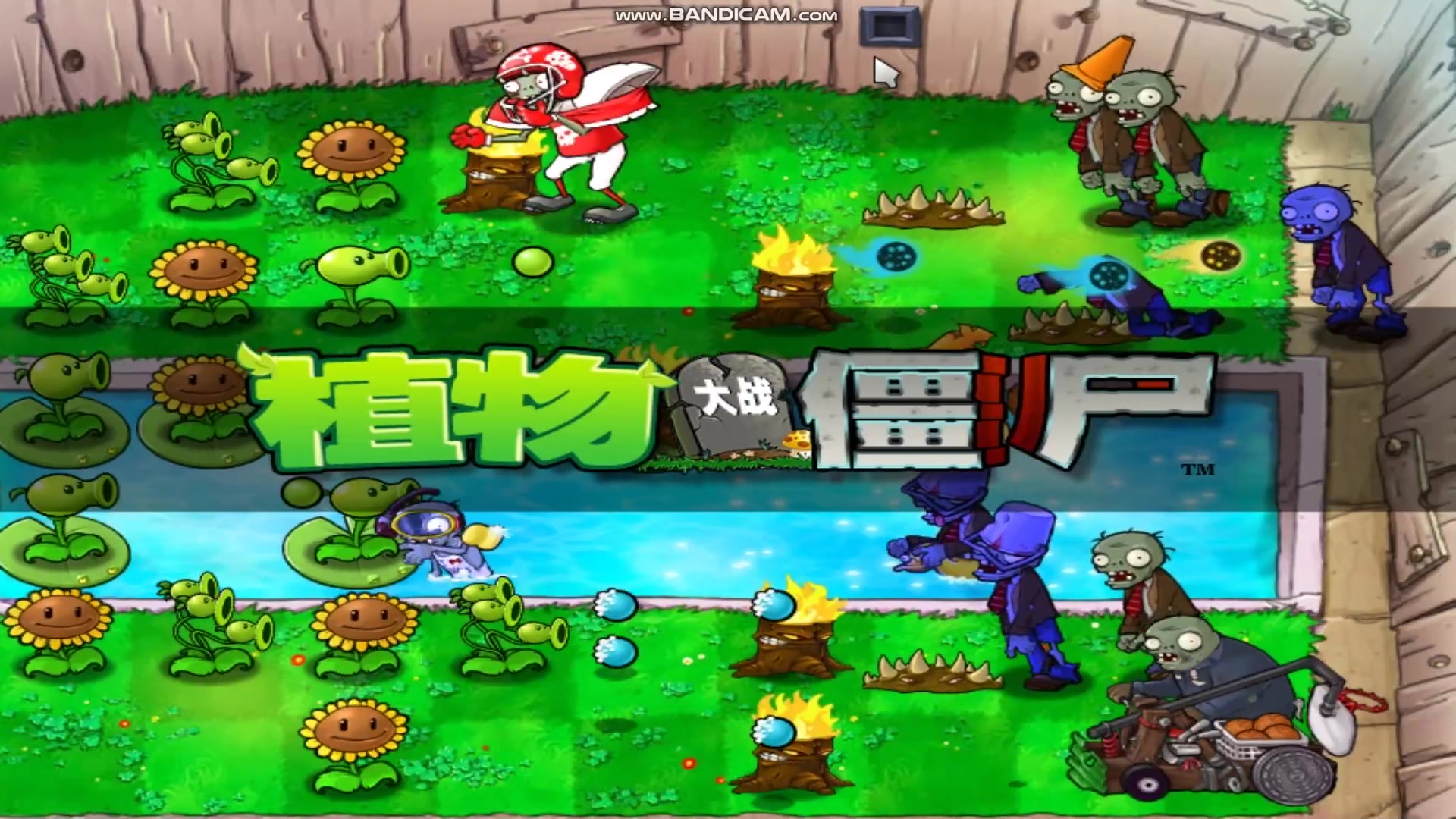 僵尸大战植物官方下载_植物大战僵尸手机版游戏下载_僵尸大战植物中文版