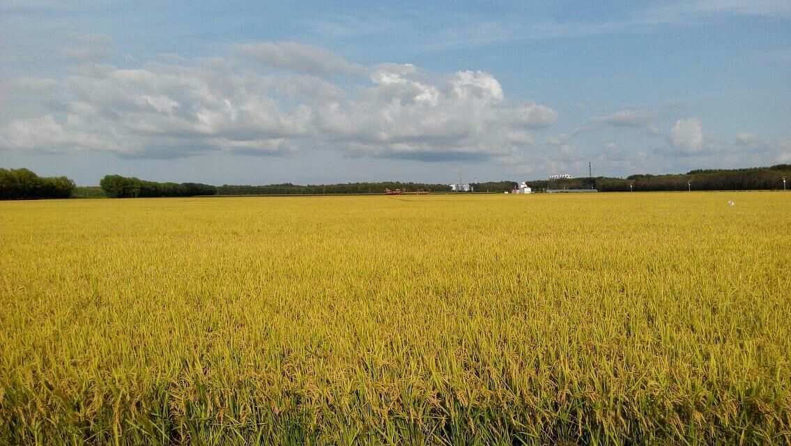 种地游戏手机壁纸_手机壁纸土地_壁纸种地手机游戏大全