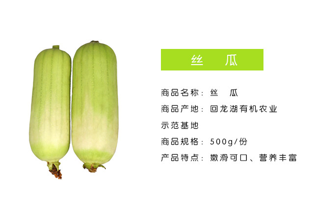 丝瓜官网_丝瓜提取丝瓜水教程图_巨型一号丝瓜水官网