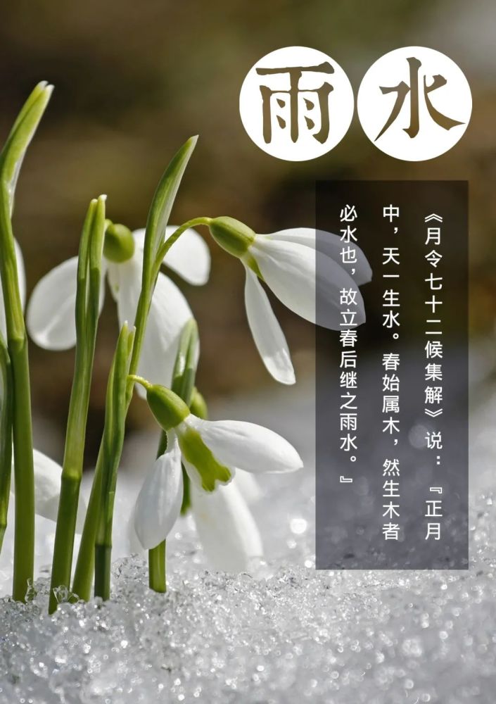 水月雨是哪个国家的_雨水是几月几日?_雨水是天空哭过的痕迹