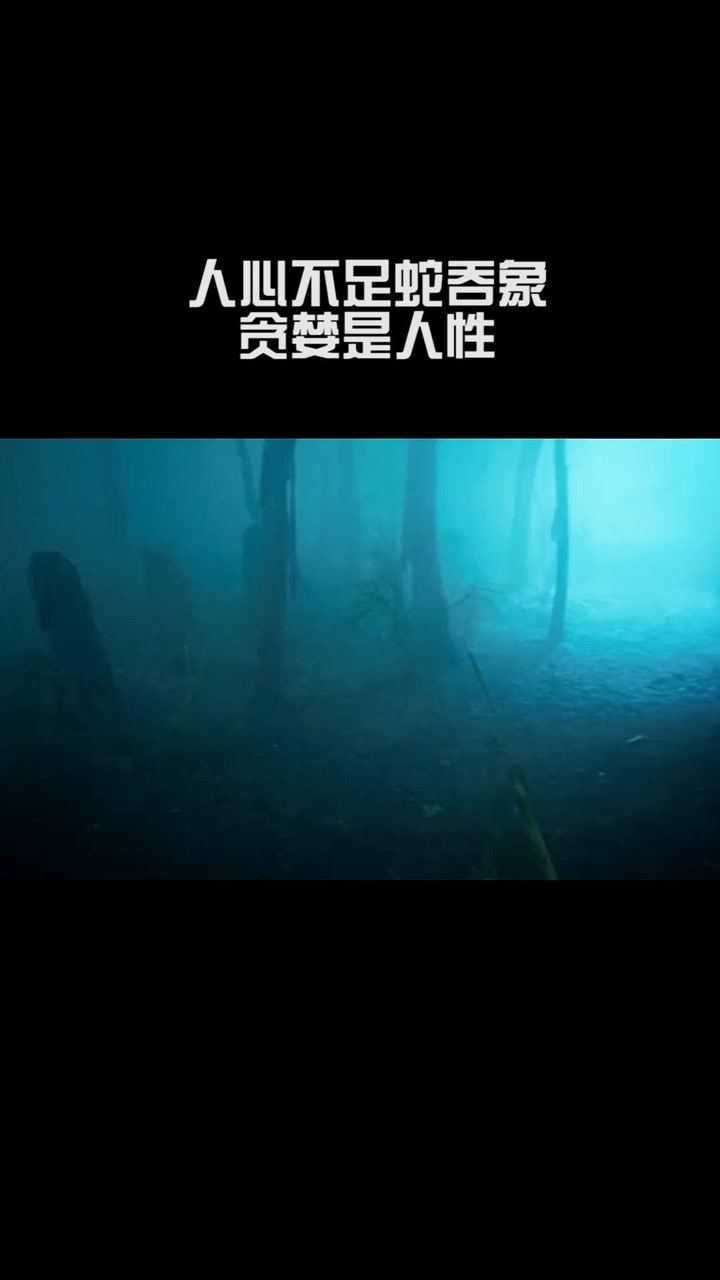 张震讲故事鬼迷心窍剧情_张震讲故事之鬼迷心窍结局_张震讲故事之鬼迷心窍