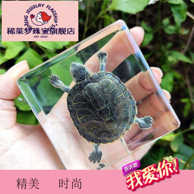 标本制作师游戏_标本零恐怖游戏_手机游戏标本