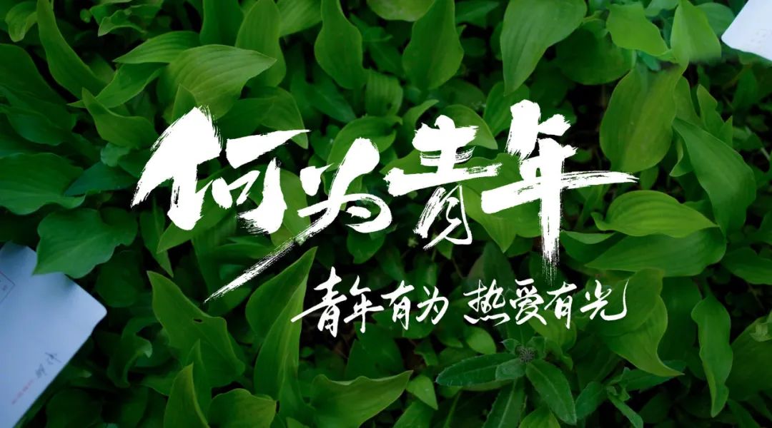 6月3日什么日子-6月3日，生死之间的抉择，改变我一生