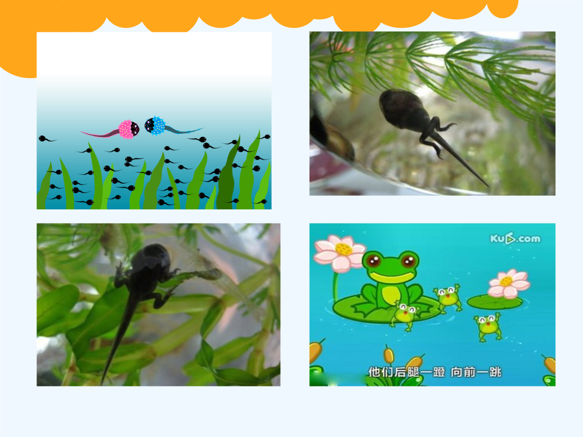 小蝌蚪下载大全吧—小蝌蚪吧_小蝌蚪下载大全吧—小蝌蚪吧_小蝌蚪下载大全吧—小蝌蚪吧