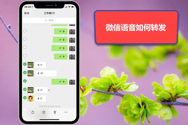 telegram只能给双向_telegram只能双向_telegram双向
