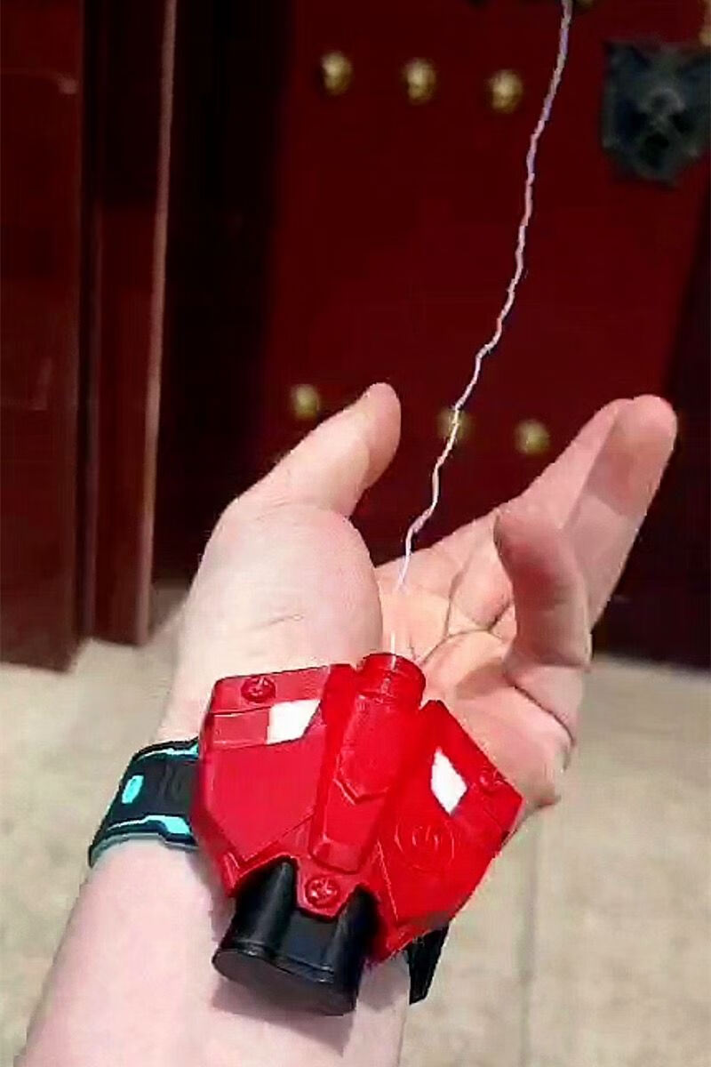蜘蛛之丝：生命线上的神奇力量
