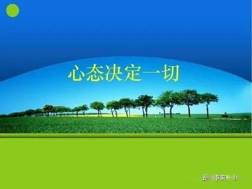 西比拉_西比拉系统的真相_西比拉系统