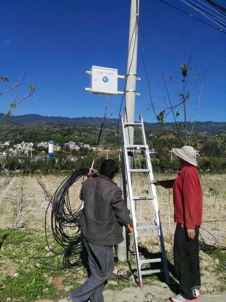 君子兰叶红点是什么病_wifi光信号显示红色上不了网怎么办_2个l是什么牌子