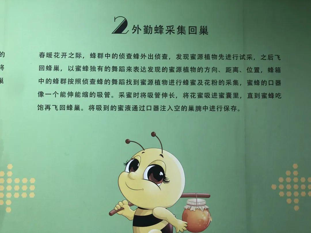 手机游戏辅助蜜蜂_蜜蜂游戏脚本_蜜蜂游戏助手安卓版