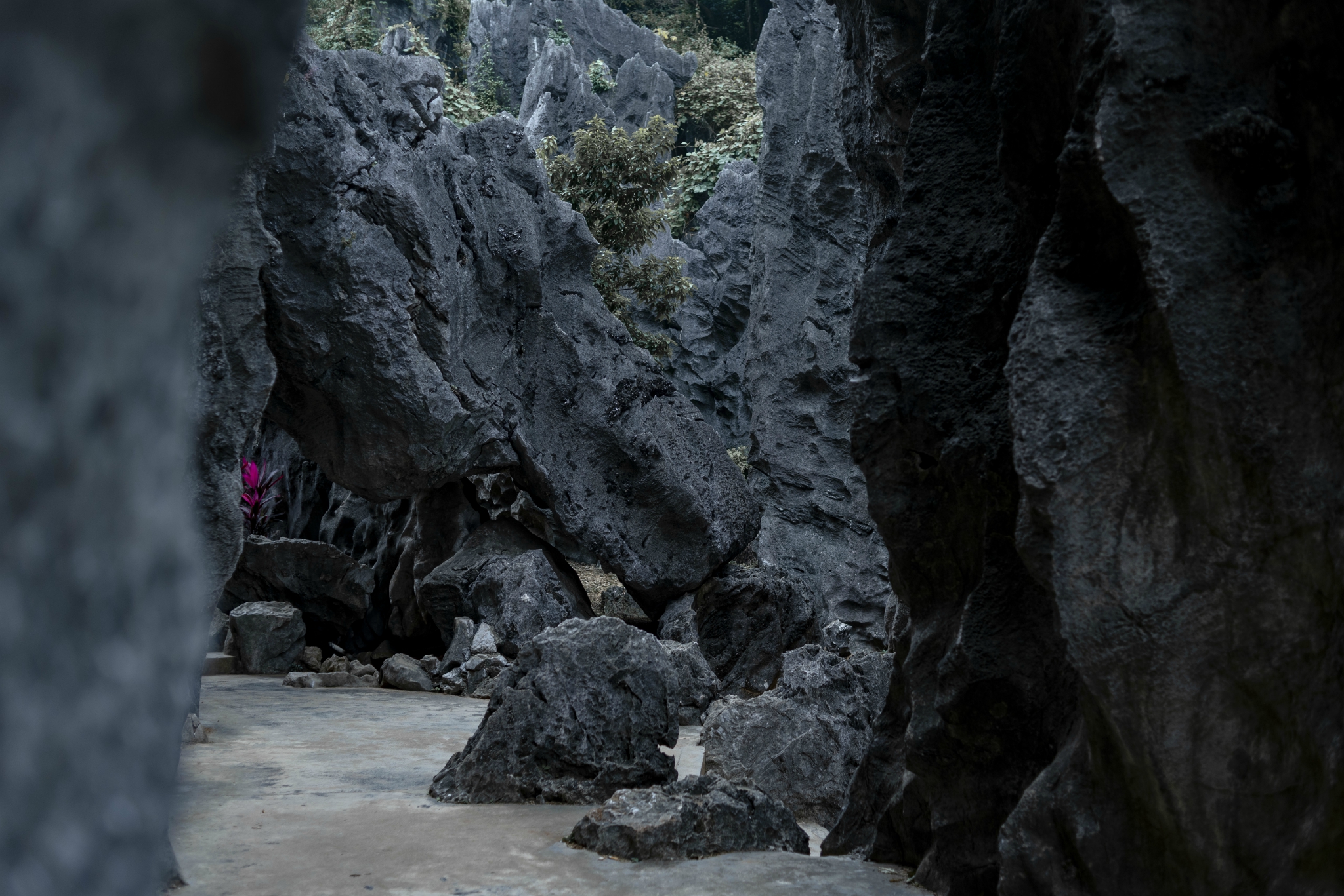 鹫巢岩_鹫巢岩_鹫巢岩