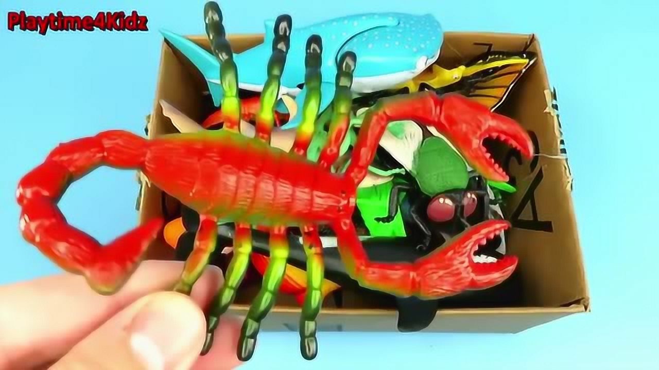 鱼变龙的游戏_鱼玩手游_手机游戏鱼变多