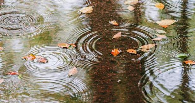 落雨的秋歌曲原唱孙晓雨_落雨大教案_雨落