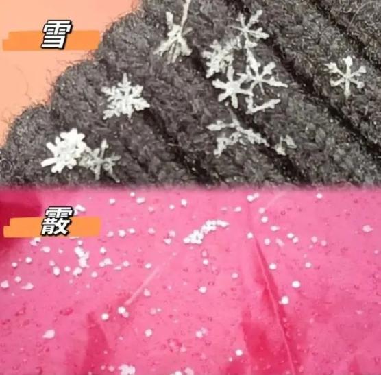qq一键冻结网站_qq冻结解冻网站_qq一键冻结软件