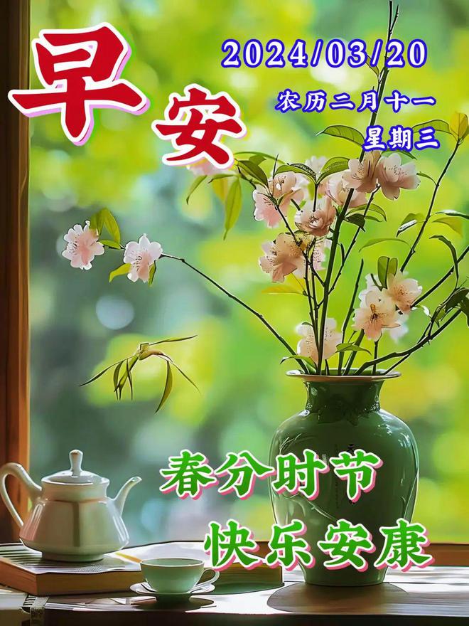 77元_元plus_元梦之星