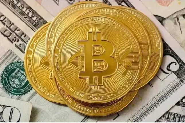 小狐狸钱包可以存比特币吗_比特币钱包可以存狗狗币吗_存比特币的钱包