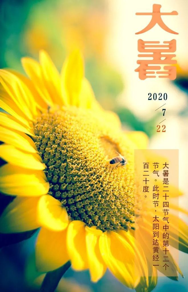 数伏从哪天开始_开始天数算结束天数_从哪天数伏