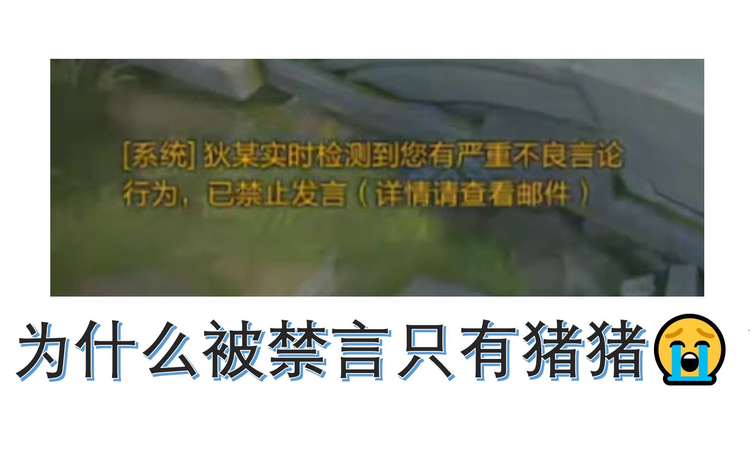 解除直播间禁言的方法_直播间被禁言怎么解除_解除直播间禁言怎么操作