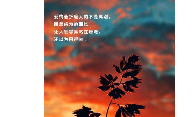 11月2日是什么日子-11月2日：一个充满意义的纪念日，共同