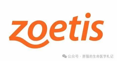 预期价格怎么算_预期价格水平是什么意思_im钱包lon预期价格