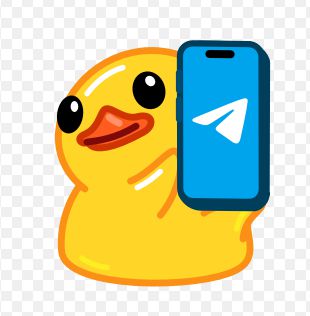玩telegram判刑吗_telegram怎样玩_玩telegram要注意什么
