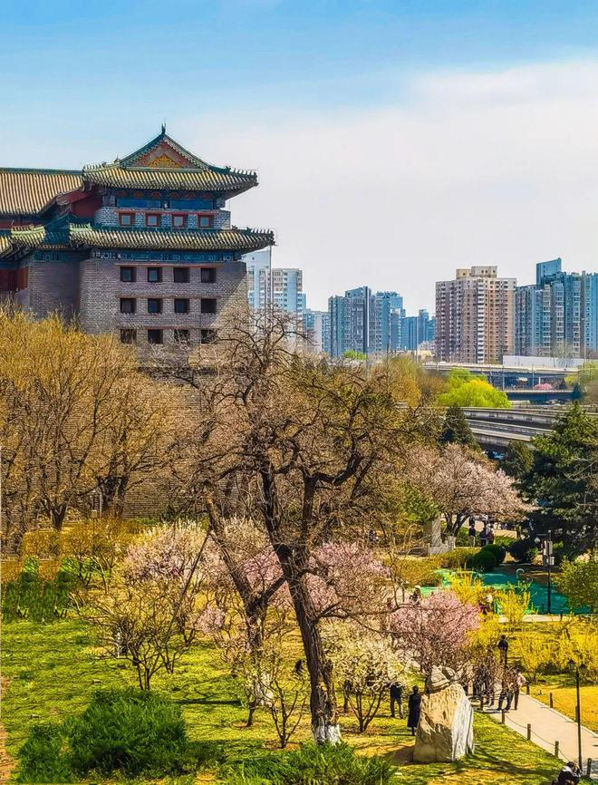图片倾斜自动校正_自动修正倾斜照片的app_如何修正倾斜的照片