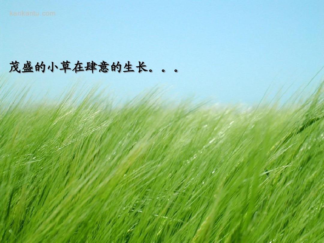 千月_千月变_千月为什么是蝶王