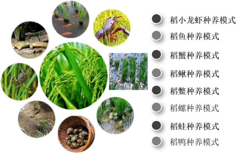 松冈凛_松冈_松冈江