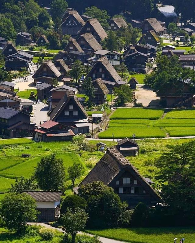 松冈凛_松冈江_松冈
