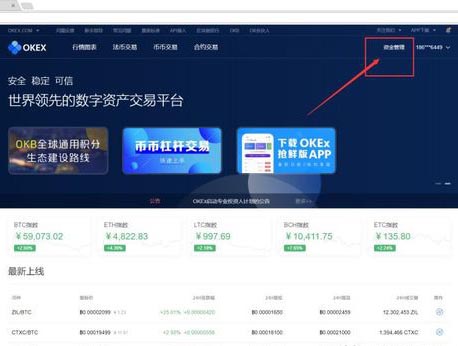 小狐狸钱包提币到okex_狐狸钱包代币_小狐狸钱包代币